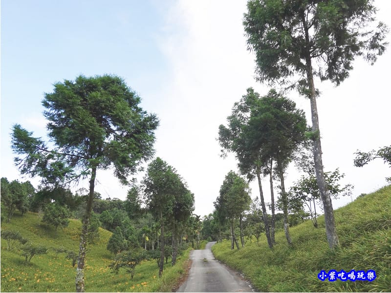 往赤科山小台灣路線指引5.jpg 往赤科山小台灣路線指引5.jpg