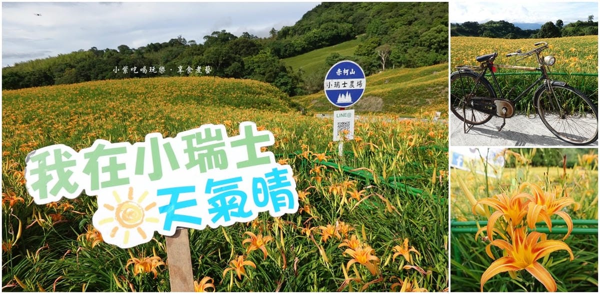 小瑞士農場金針花-首圖.jpg 小瑞士農場金針花-首圖.jpg