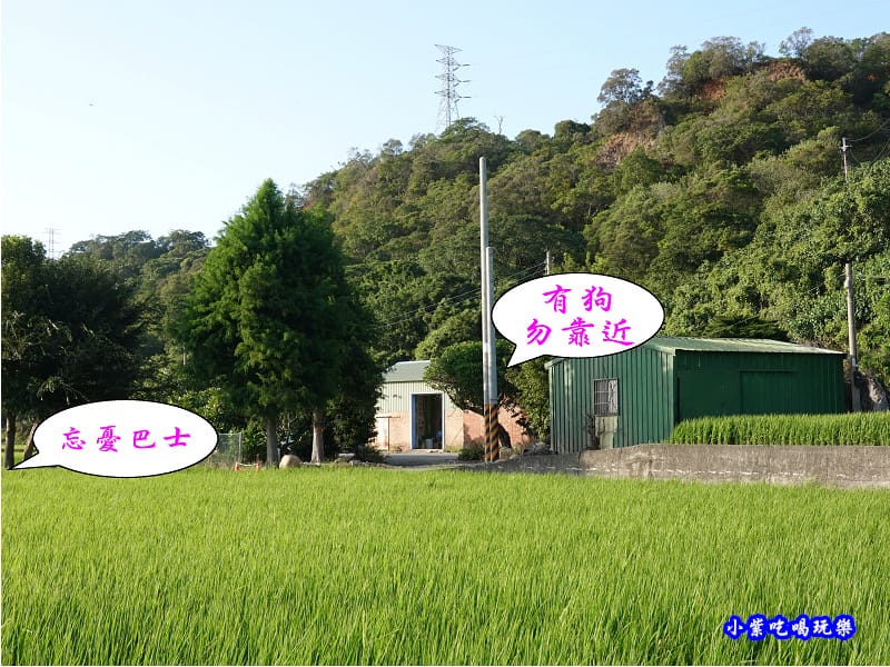 2020-10月外埔忘憂谷 (27).jpg