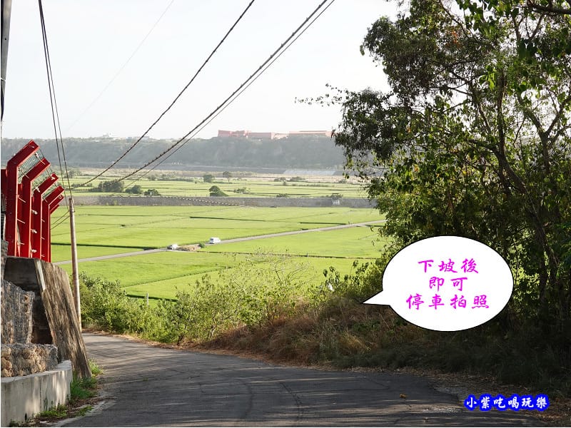 2020-10月外埔忘憂谷 (18).jpg