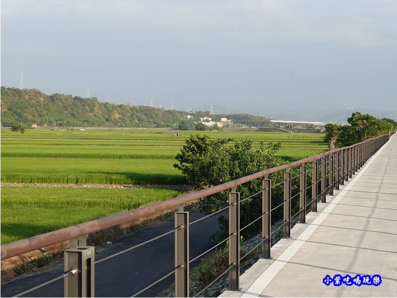 2020-10月外埔忘憂谷 (36).jpg