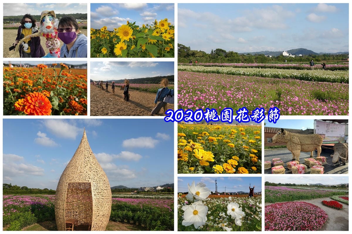2020桃園花彩節-楊梅區.jpg 2020桃園花彩節-楊梅區.jpg