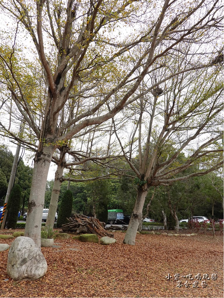后里-崴立機電櫻花公園 (1).jpg