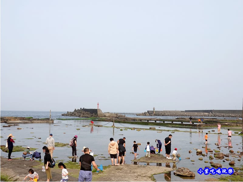 左邊潮間帶-馬崗漁港 (12).jpg