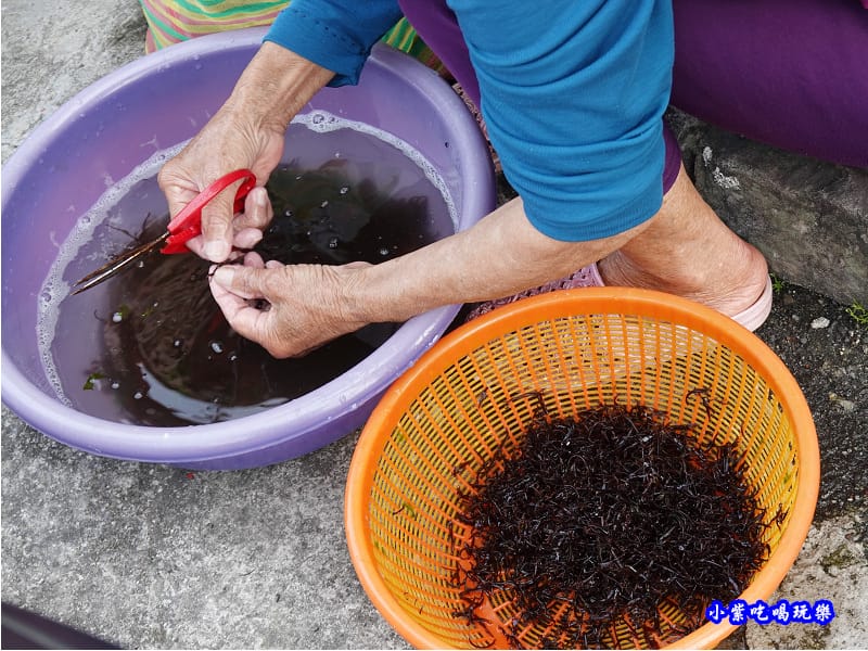海女處理海菜-馬崗漁港.jpg