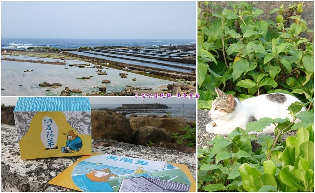 馬崗記憶生活館-共潮生首圖.jpg