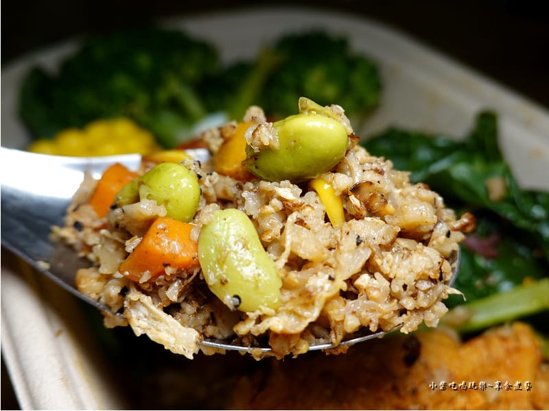 鮮蔬花椰菜飯-108低碳同樂會 (2).jpg 鮮蔬花椰菜飯-108低碳同樂會 (2).jpg
