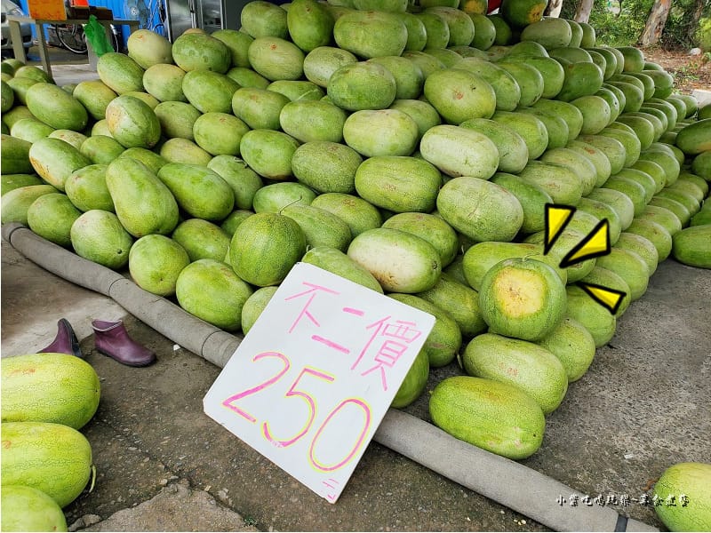 南崁大西瓜批發 (9).jpg 南崁大西瓜批發 (9).jpg