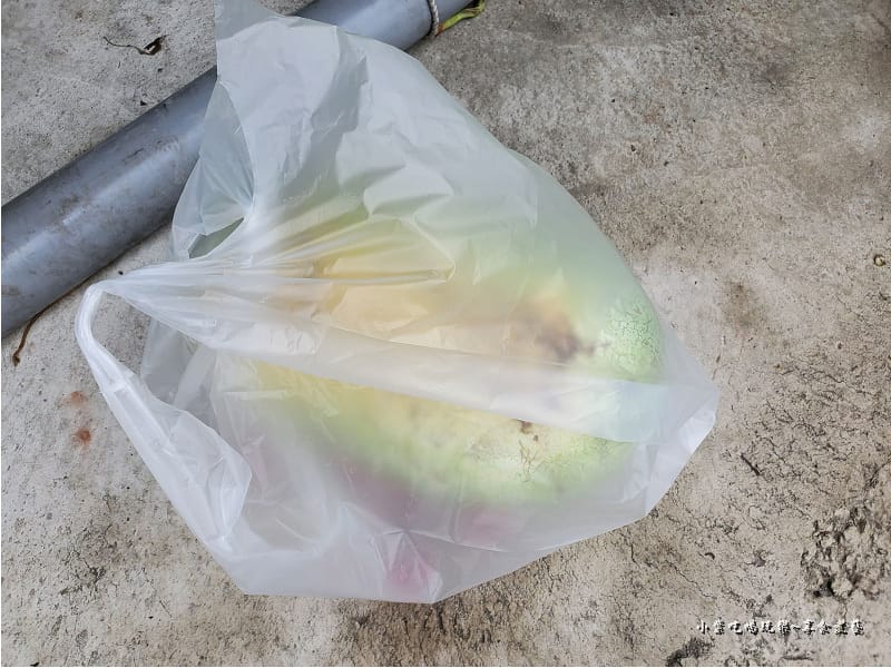 南崁大西瓜批發 (14).jpg 南崁大西瓜批發 (14).jpg