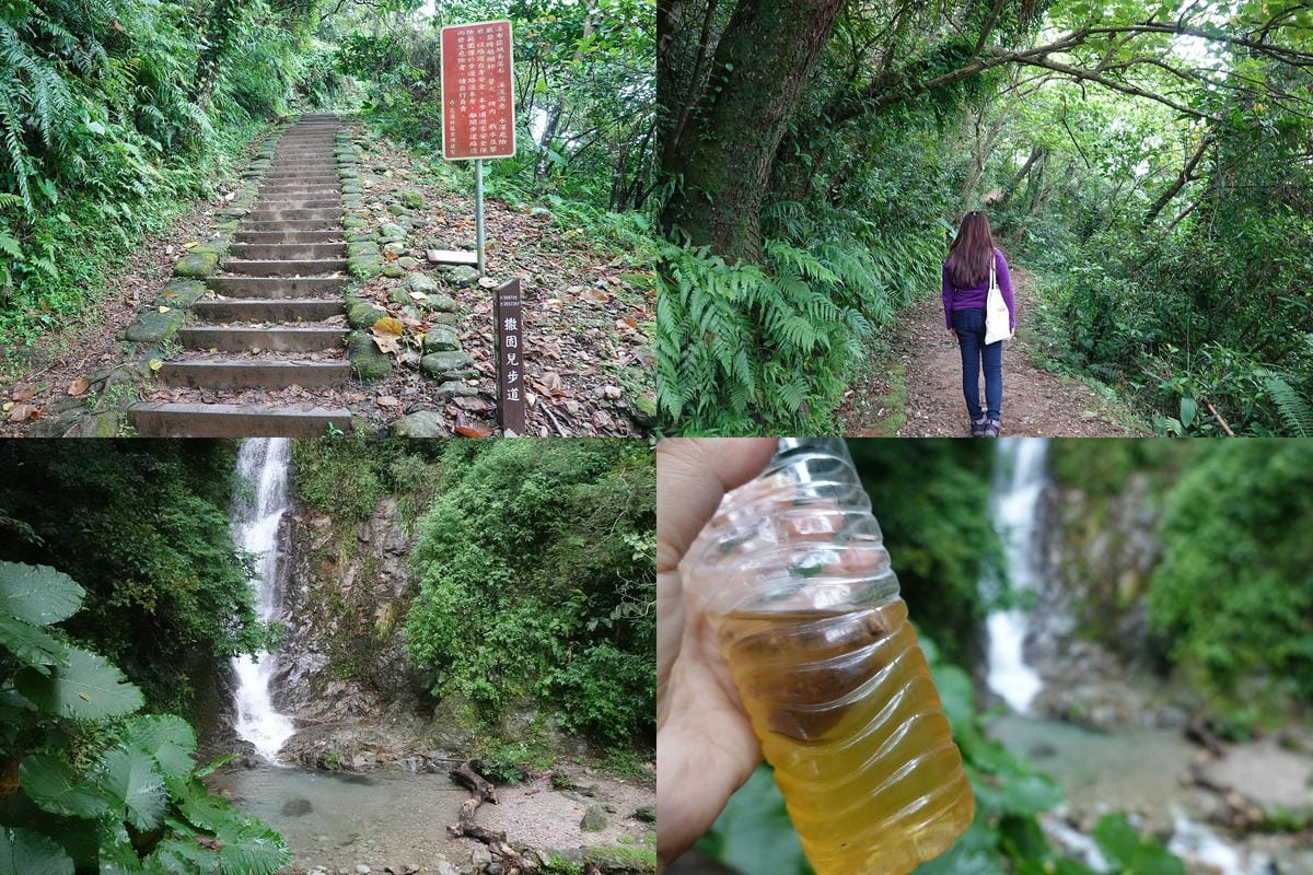 撒固兒步道-龍眼蜜冷泡茶.jpg 撒固兒步道-龍眼蜜冷泡茶.jpg