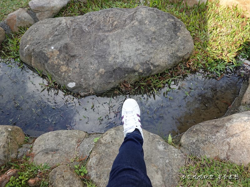 太平苗圃落羽松 (22).jpg 太平苗圃落羽松 (22).jpg