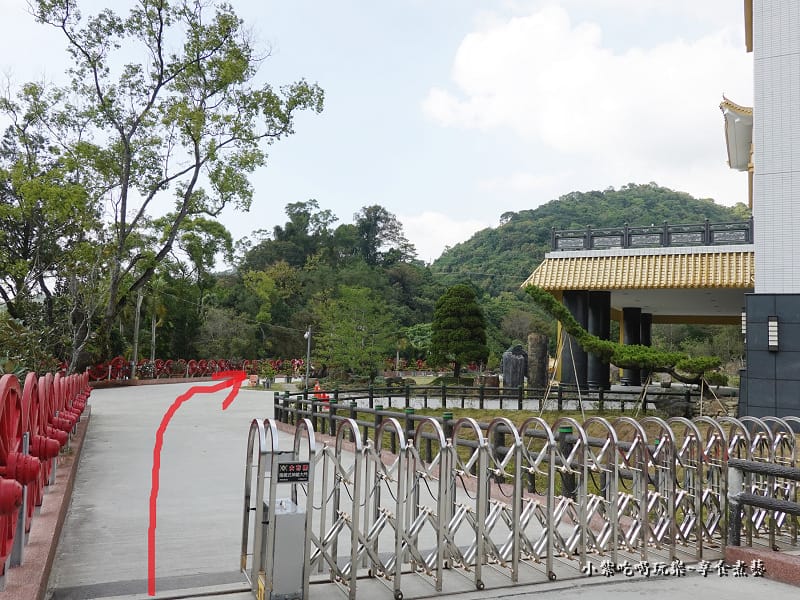 太平苗圃落羽松 (13).jpg 太平苗圃落羽松 (13).jpg