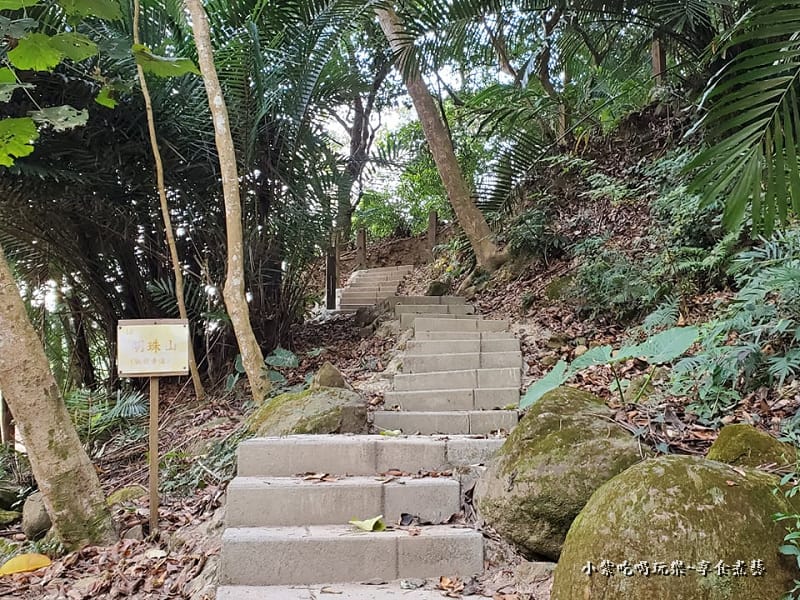 明珠山臥龍步道-太平苗圃落羽松.jpg 明珠山臥龍步道-太平苗圃落羽松.jpg