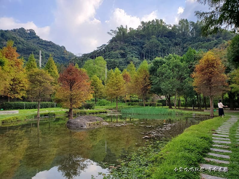 太平苗圃落羽松 (9).jpg 太平苗圃落羽松 (9).jpg