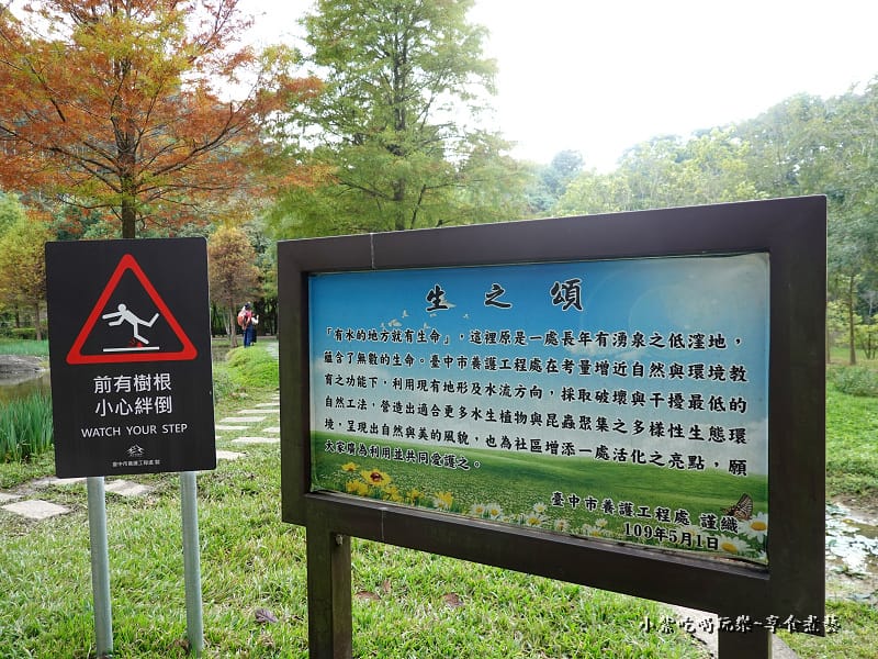 太平苗圃落羽松 (16).jpg 太平苗圃落羽松 (16).jpg