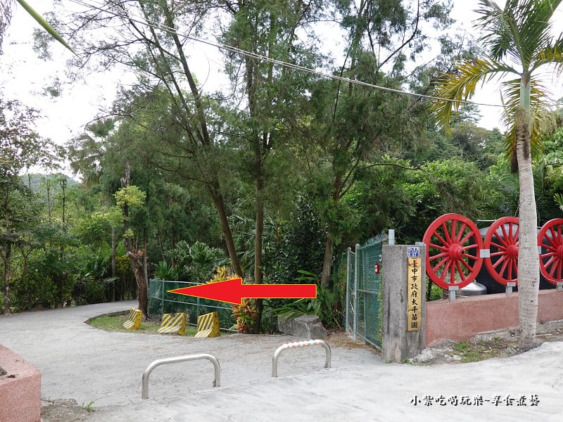 太平苗圃落羽松 (14).jpg 太平苗圃落羽松 (14).jpg
