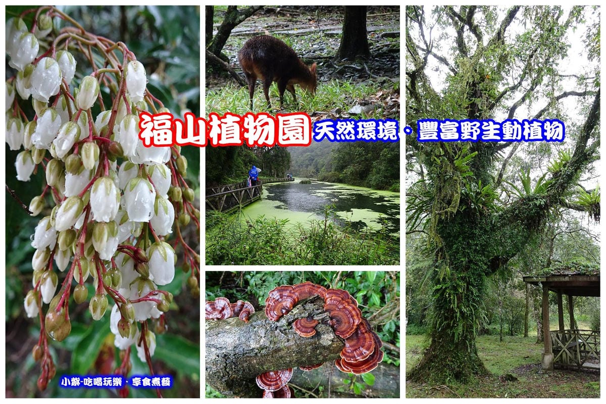 福山植物園-拼圖.jpg 福山植物園-拼圖.jpg