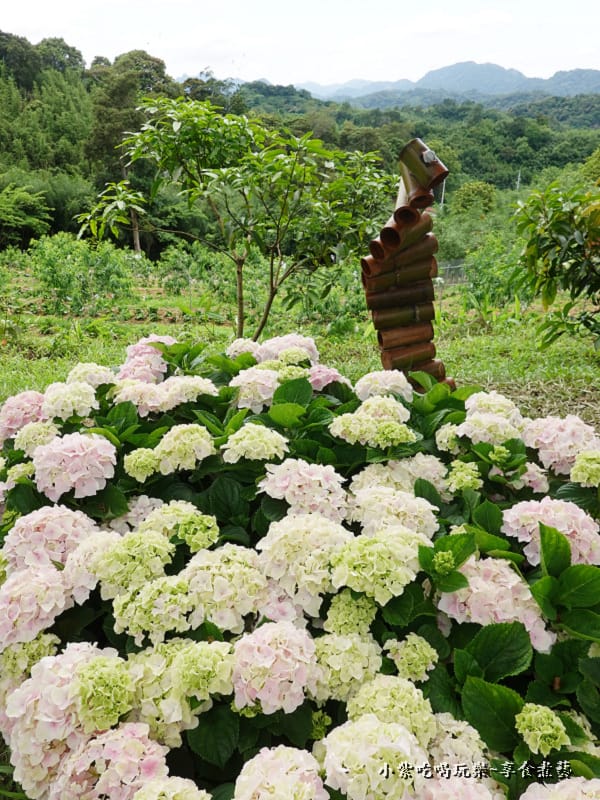 北橫-怡德休閒農莊 (22).jpg 北橫-怡德休閒農莊 (22).jpg