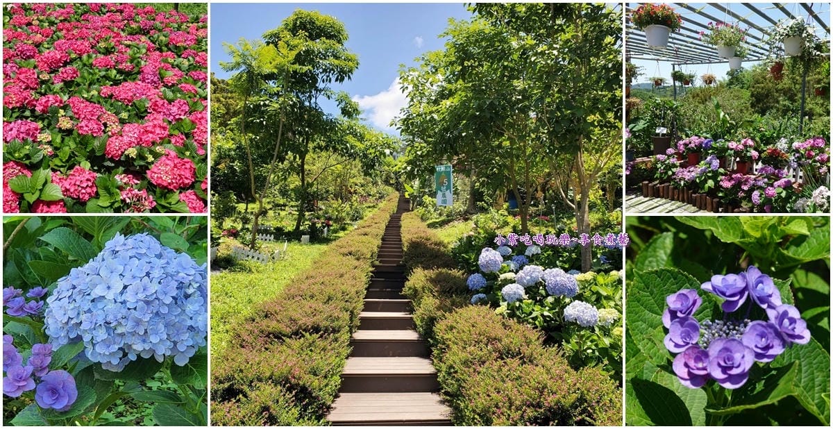 北橫-枕頭山5號農園首圖.jpg 北橫-枕頭山5號農園首圖.jpg
