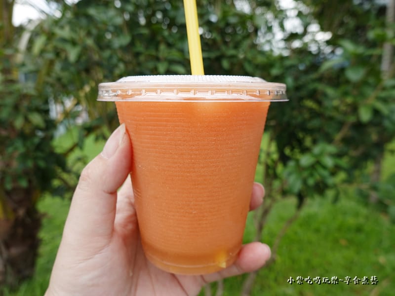 木鱉果汁-2022泉頭泰雅美食32.jpg