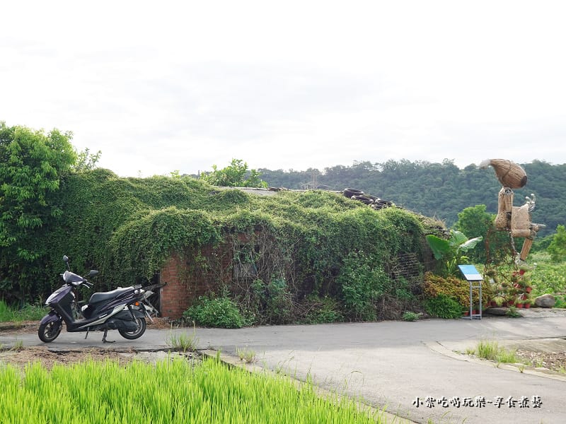 大溪-順時埔彩繪村 (28).jpg