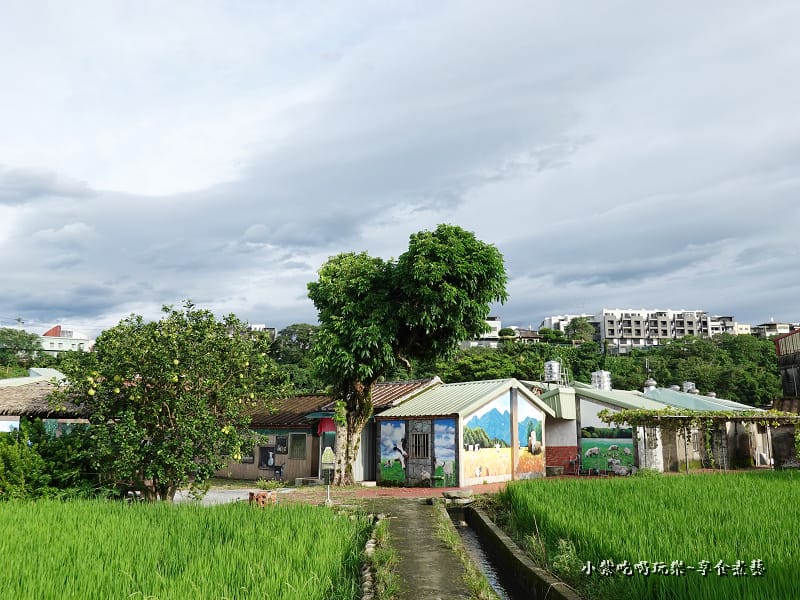 大溪-順時埔彩繪村 (4).jpg