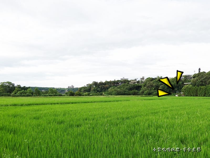 鎮田宮景觀廁所 (2).jpg