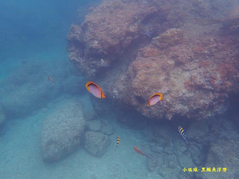 小琉球-黑鮪魚浮潛 (40).jpg 小琉球-黑鮪魚浮潛 (40).jpg