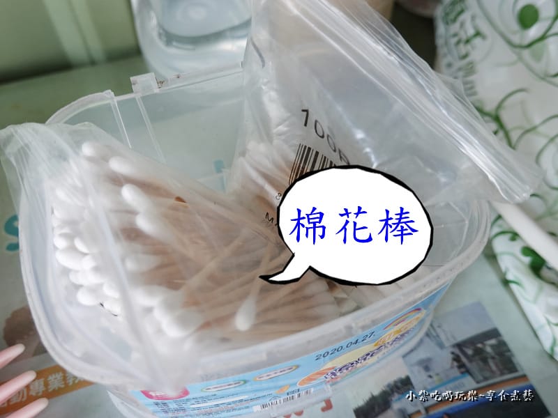 2022黑鮪魚浮潛 (21).jpg 2022黑鮪魚浮潛 (21).jpg