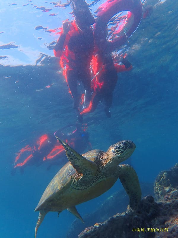 小琉球-黑鮪魚浮潛 (45).jpg 小琉球-黑鮪魚浮潛 (45).jpg