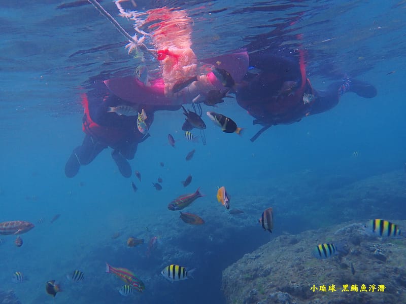 小琉球-黑鮪魚浮潛 (8).jpg 小琉球-黑鮪魚浮潛 (8).jpg