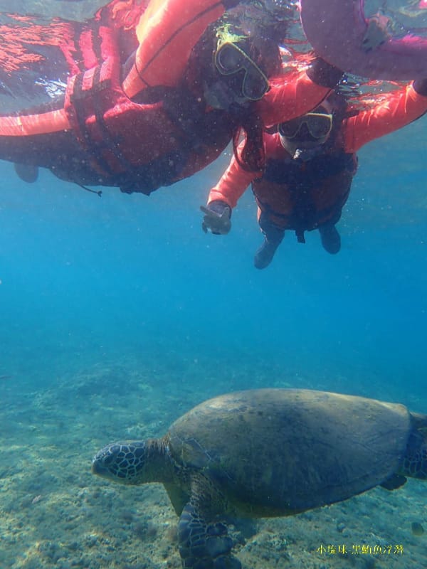 2022-1115-小琉球黑鮪魚浮潛 (1).jpg 2022-1115-小琉球黑鮪魚浮潛 (1).jpg