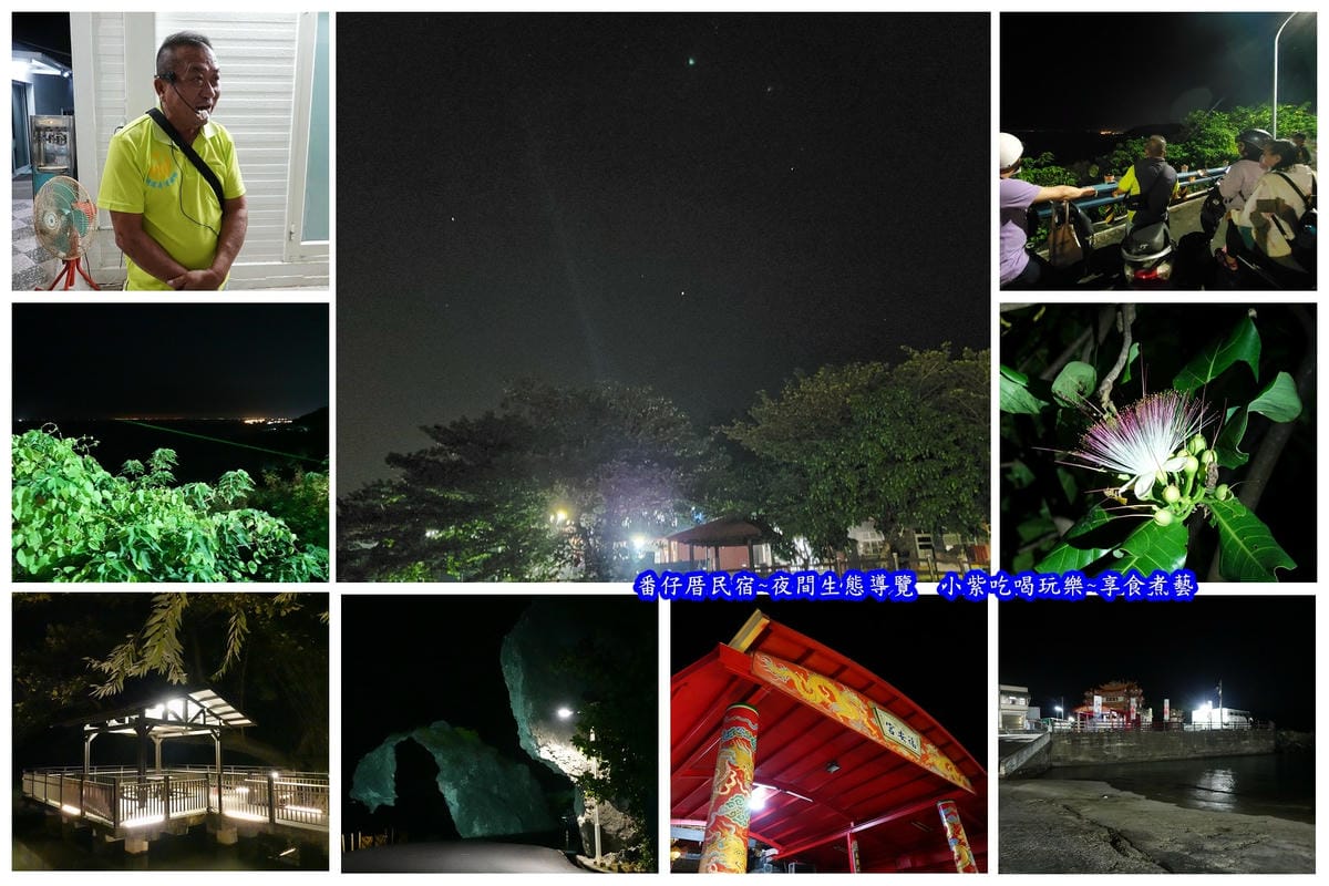 夜間生態導覽-番仔厝民宿.jpg 夜間生態導覽-番仔厝民宿.jpg
