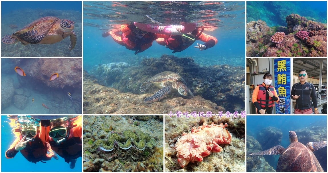 2022小琉球黑鮪魚浮潛首圖.jpg 2022小琉球黑鮪魚浮潛首圖.jpg