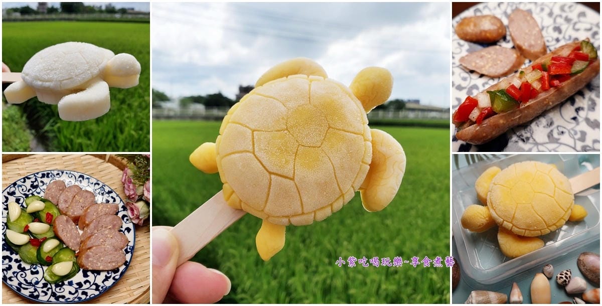 允好嘉海龜冰棒-5拼首圖.jpg 允好嘉海龜冰棒-5拼首圖.jpg