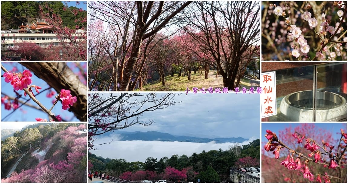協雲宮賞櫻-首圖.jpg 協雲宮賞櫻-首圖.jpg