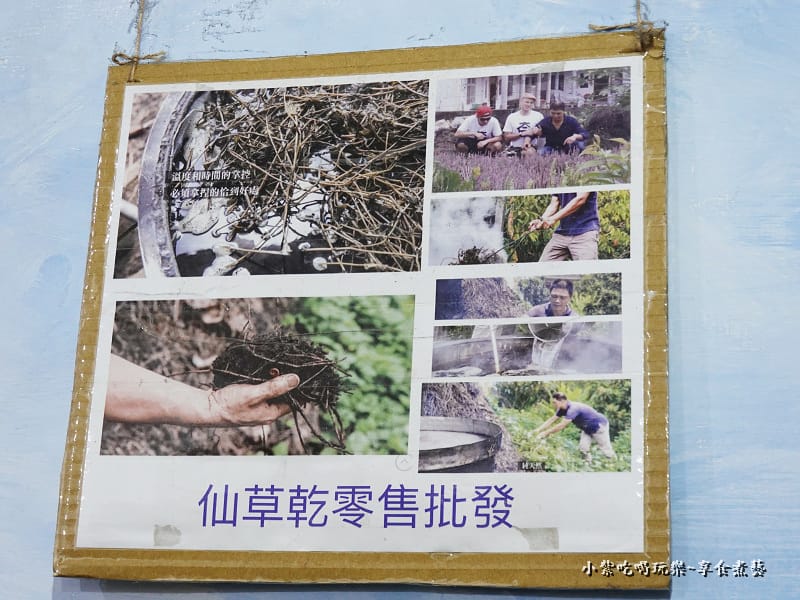 台中大坑-新凍嫩仙草 (2).jpg