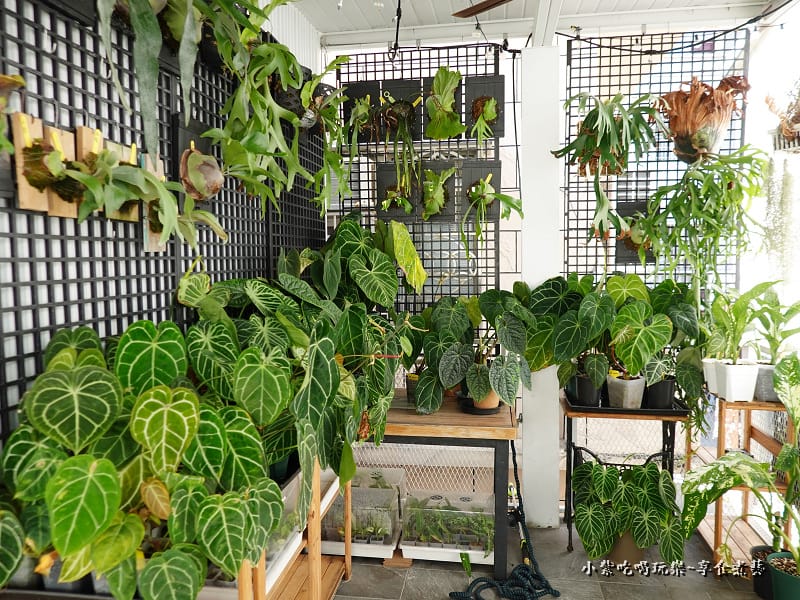 二樓用餐環境-小琉球蜜仔琉部 (4).jpg