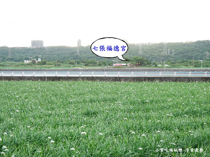 自行車道遙望七張福德宮.jpg
