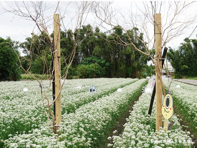 綠野仙蹤-2023桃園韭菜花季 (1).jpg