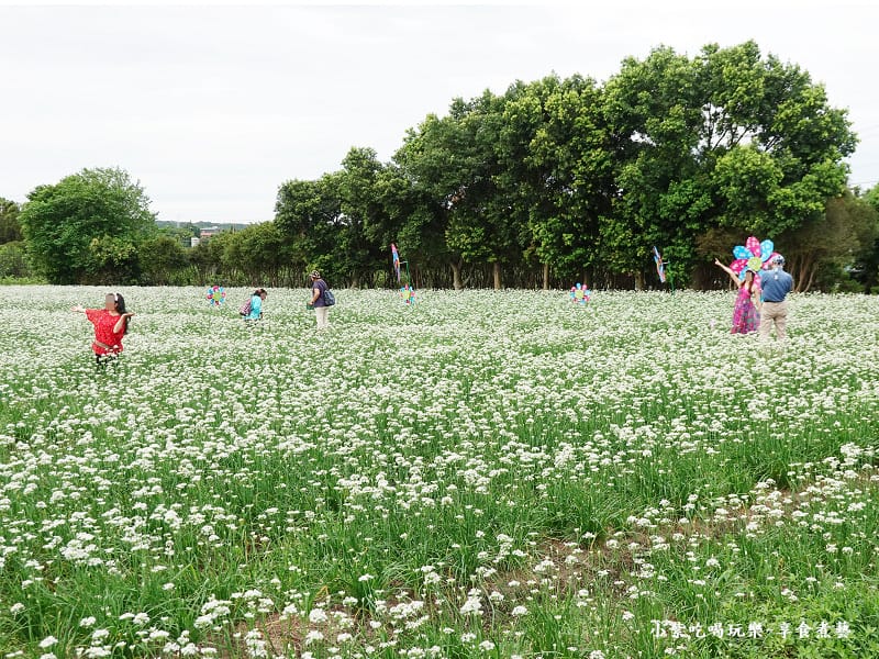 風華再現-2023桃園韭菜花季 (2).jpg
