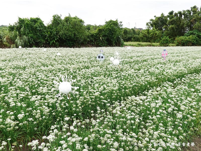 綠野仙蹤-2023桃園韭菜花季 (3).jpg