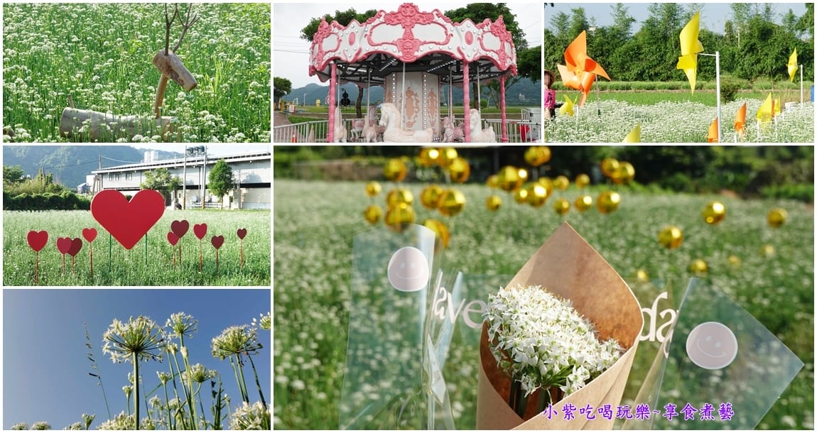 2024大溪韭菜花季-首圖.jpg