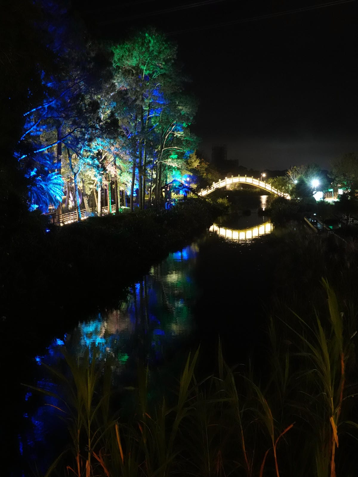 2023-慈湖夜來香水舞 (24).JPG