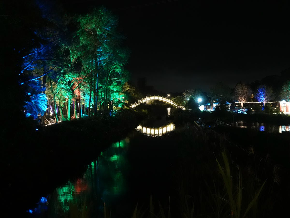 2023-慈湖夜來香水舞 (26).JPG
