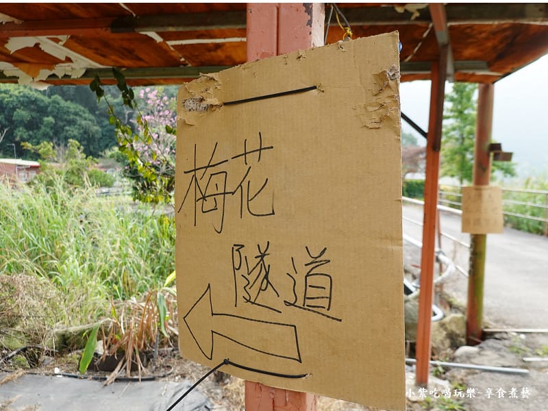 台中-新社梅花隧道 (5).jpg 台中-新社梅花隧道 (5).jpg