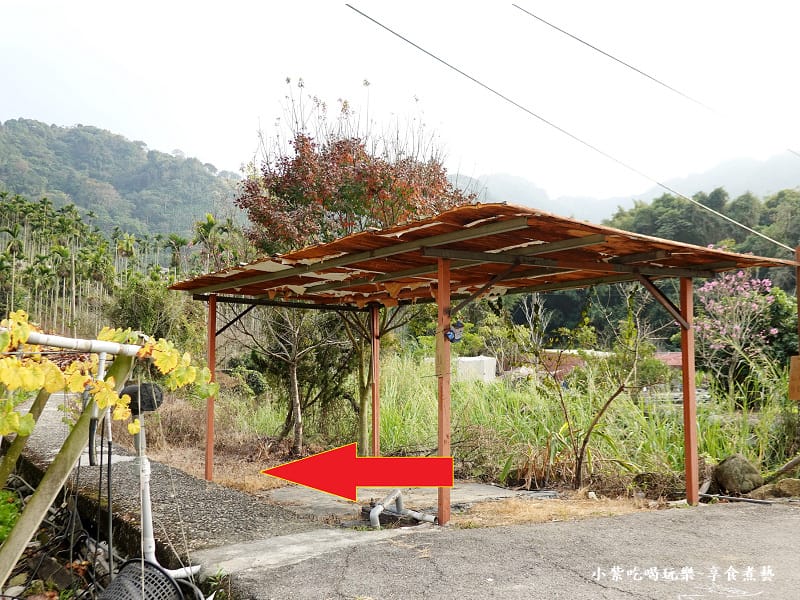 台中-新社梅花隧道 (4).jpg 台中-新社梅花隧道 (4).jpg