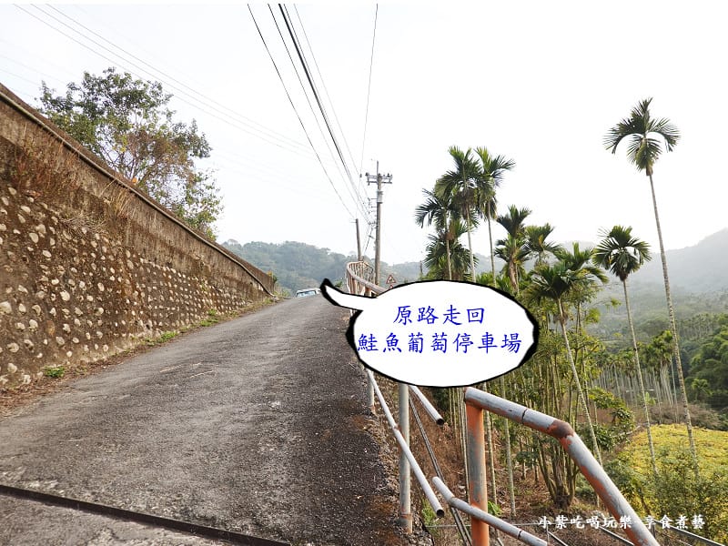 新社梅花隧道(原路回停車場).jpg 新社梅花隧道(原路回停車場).jpg
