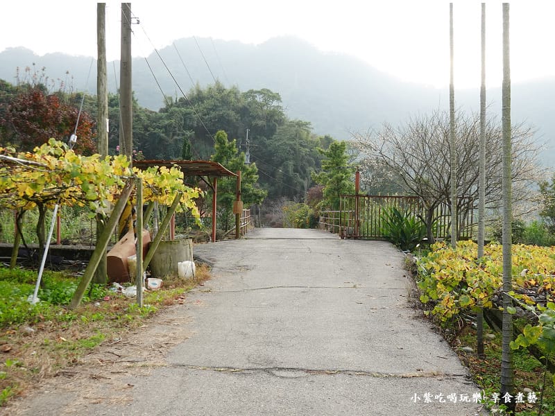 台中-新社梅花隧道 (3).jpg 台中-新社梅花隧道 (3).jpg