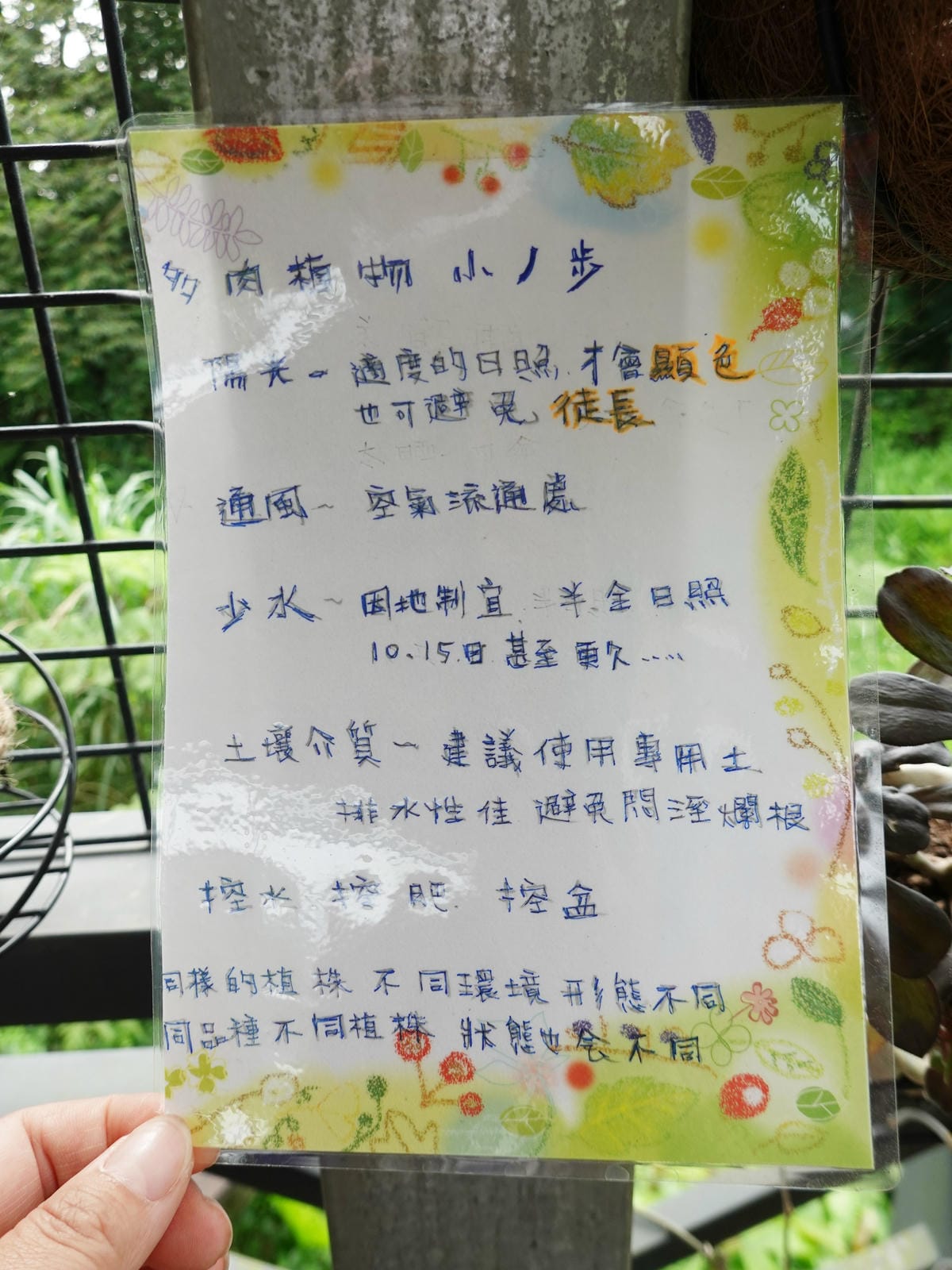 種多肉撇步-2024基國派老教堂.JPG